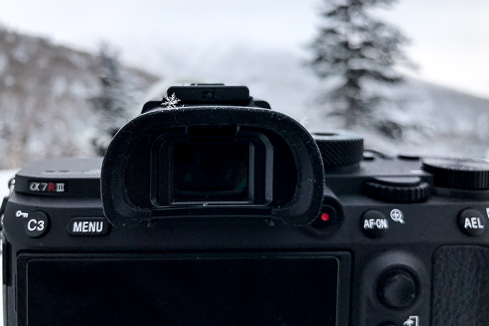 東京カメラ部10選 井上浩輝氏 × 東芝メモリ「頼れる相棒 “EXCERIA PRO”」