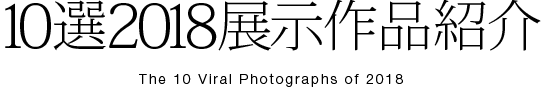 10選 展示作品紹介