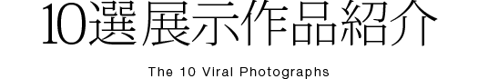 10選 展示作品紹介
