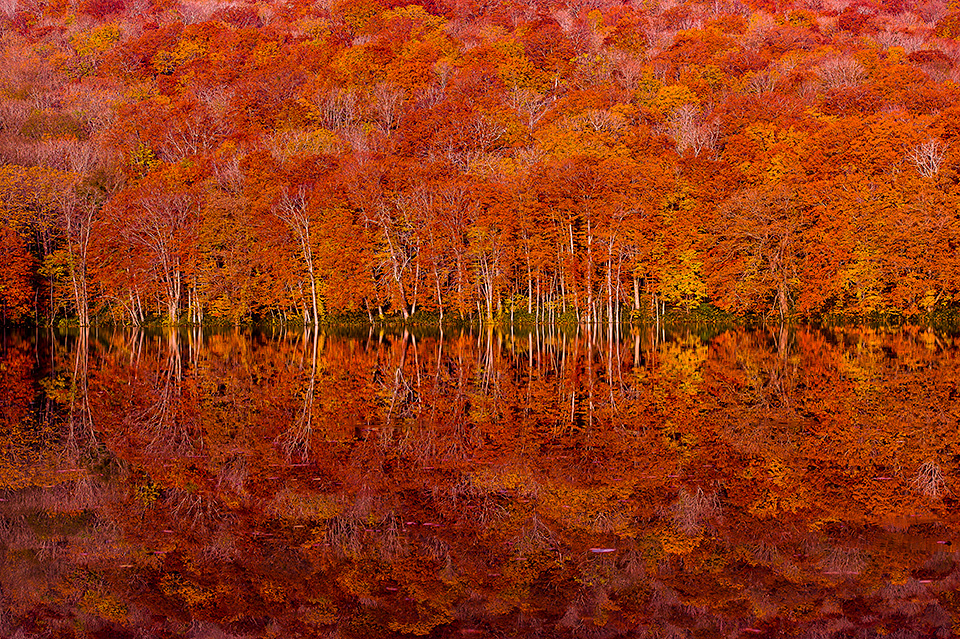 環境省：環境省国立公園課国立公園利用推進室 宮森由美子、東京カメラ部10選 北川力三、本間昭文、東京カメラ部コンテスト入賞者 清水啓、東京カメラ部運営「ともに守り、伝えていく　国立公園の魅力」｜東京カメラ部2019写真展