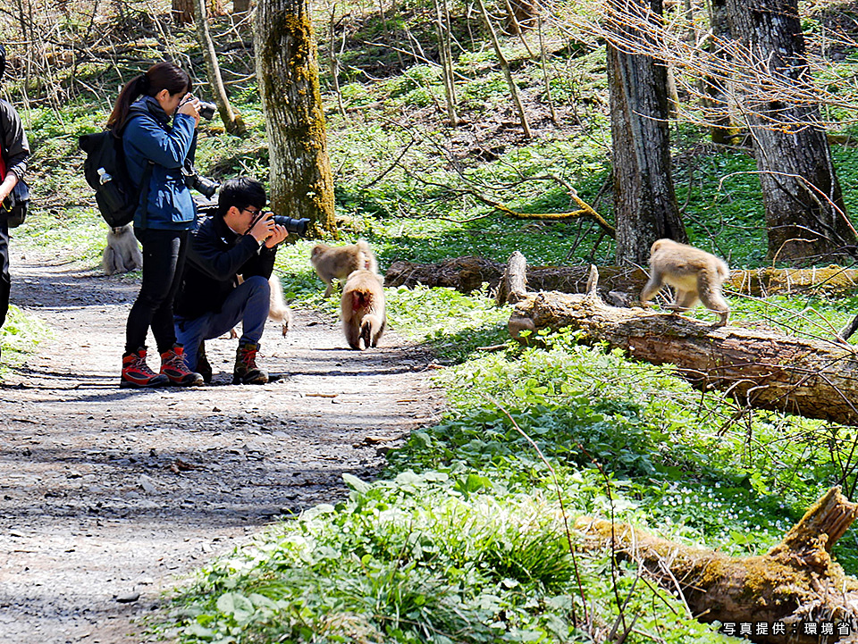 環境省：環境省国立公園課国立公園利用推進室 宮森由美子、東京カメラ部10選 北川力三、本間昭文、東京カメラ部コンテスト入賞者 清水啓、東京カメラ部運営「ともに守り、伝えていく　国立公園の魅力」｜東京カメラ部2019写真展