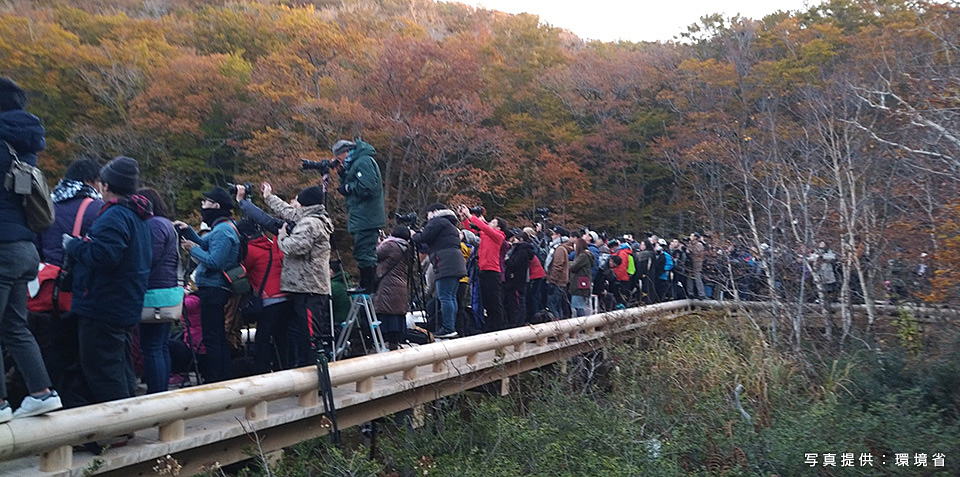 環境省：環境省国立公園課国立公園利用推進室 宮森由美子、東京カメラ部10選 北川力三、本間昭文、東京カメラ部コンテスト入賞者 清水啓、東京カメラ部運営「ともに守り、伝えていく　国立公園の魅力」｜東京カメラ部2019写真展