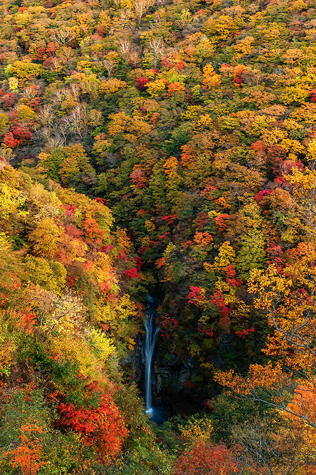 環境省：環境省国立公園課国立公園利用推進室 宮森由美子、東京カメラ部10選 北川力三、本間昭文、東京カメラ部コンテスト入賞者 清水啓、東京カメラ部運営「ともに守り、伝えていく　国立公園の魅力」｜東京カメラ部2019写真展