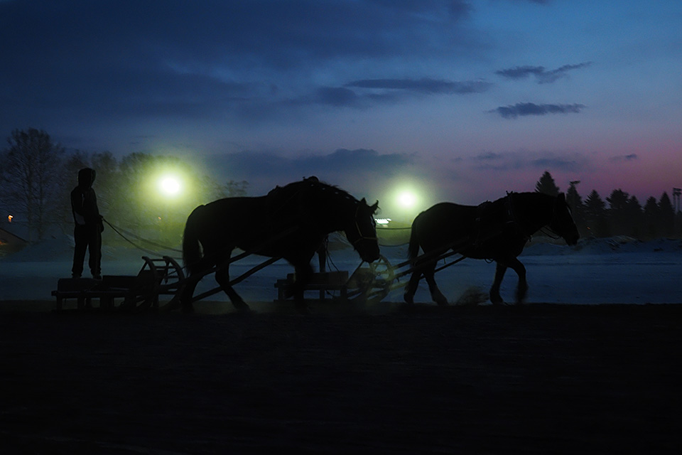 北海道 帯広市(ばんえい十勝)：カメラマン 山岸伸、帯広市副市長 田中敬二、東京カメラ部運営「ばんえい競馬」｜東京カメラ部2019写真展