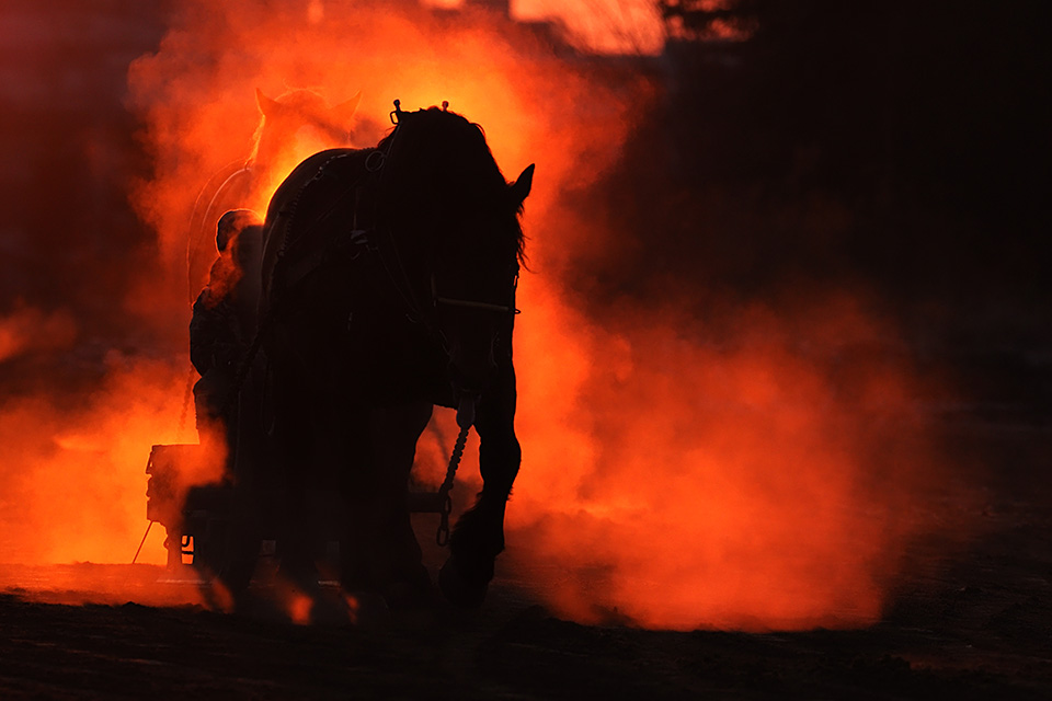 北海道 帯広市(ばんえい十勝)：カメラマン 山岸伸、帯広市副市長 田中敬二、東京カメラ部運営「ばんえい競馬」｜東京カメラ部2019写真展