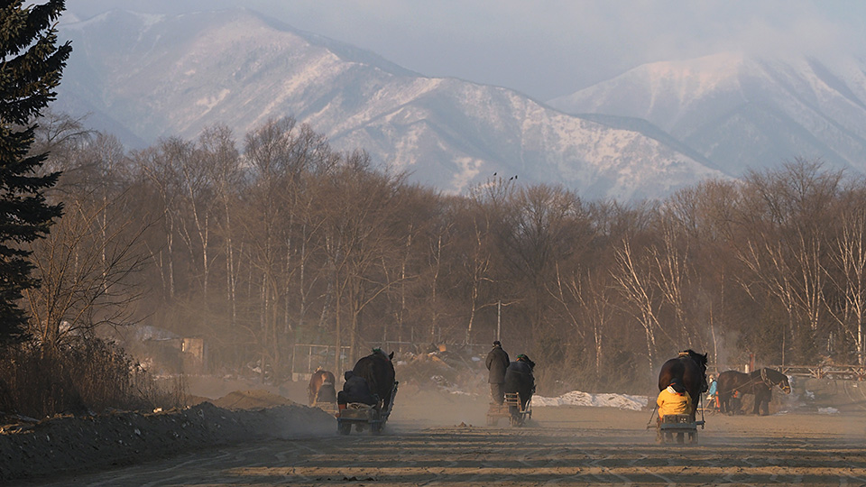 北海道 帯広市(ばんえい十勝)：カメラマン 山岸伸、帯広市副市長 田中敬二、東京カメラ部運営「ばんえい競馬」｜東京カメラ部2019写真展