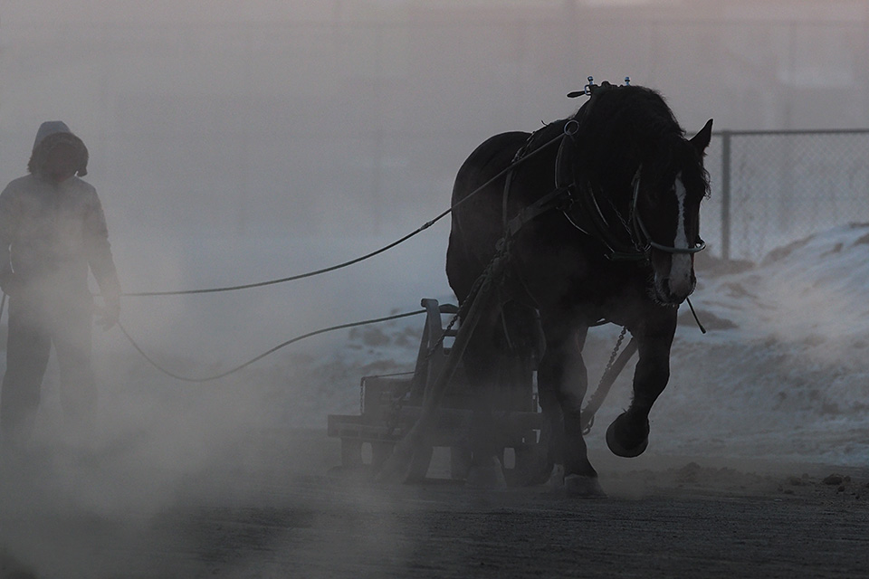 北海道 帯広市(ばんえい十勝)：カメラマン 山岸伸、帯広市副市長 田中敬二、東京カメラ部運営「ばんえい競馬」｜東京カメラ部2019写真展