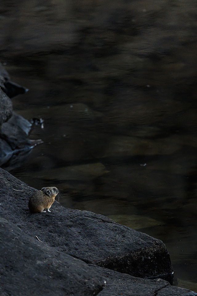 ニコンイメージングジャパン：東京カメラ部10選 半田菜摘氏、石田卓士氏「フルサイズミラーレスでとらえる、風景と生命」｜東京カメラ部2019写真展