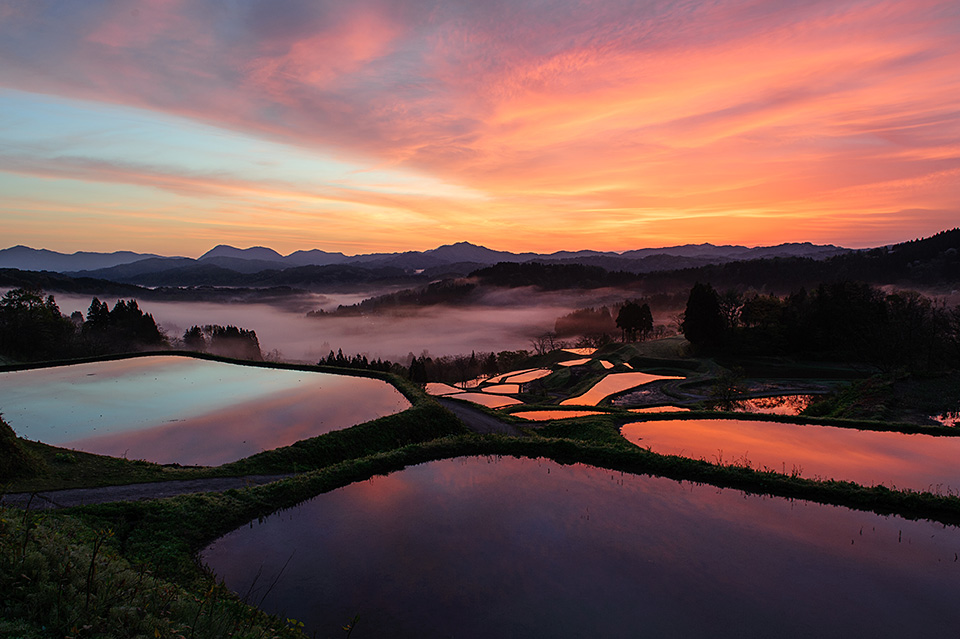 ニコンイメージングジャパン：東京カメラ部10選 半田菜摘氏、石田卓士氏「フルサイズミラーレスでとらえる、風景と生命」｜東京カメラ部2019写真展