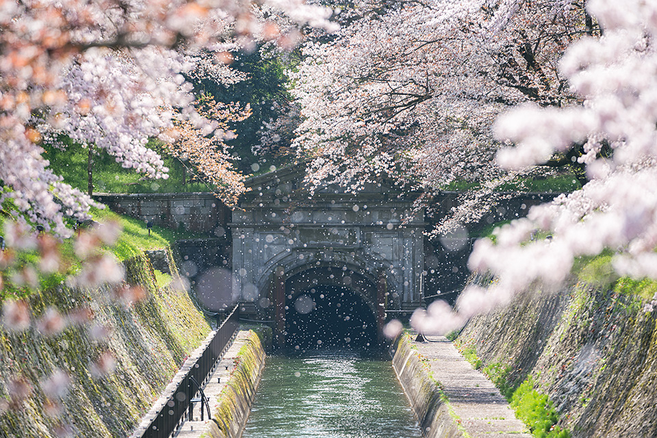東京カメラ部特別企画：東京カメラ部10選 柄木孝志氏、別所隆弘氏、浅岡省一氏「“なんやかんや”活躍している10選の物語　～最近の写真家事情～」