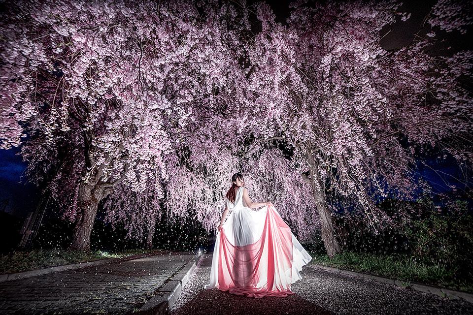 東京カメラ部特別企画：東京カメラ部10選 柄木孝志氏、別所隆弘氏、浅岡省一氏「“なんやかんや”活躍している10選の物語　～最近の写真家事情～」