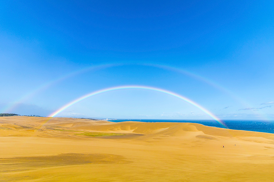 東京カメラ部特別企画：東京カメラ部10選 柄木孝志氏、別所隆弘氏、浅岡省一氏「“なんやかんや”活躍している10選の物語　～最近の写真家事情～」