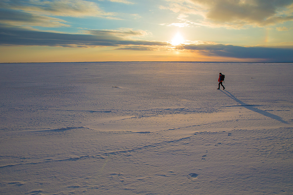 東京カメラ部特別企画：東京カメラ部10選 柄木孝志氏、別所隆弘氏、浅岡省一氏「“なんやかんや”活躍している10選の物語　～最近の写真家事情～」
