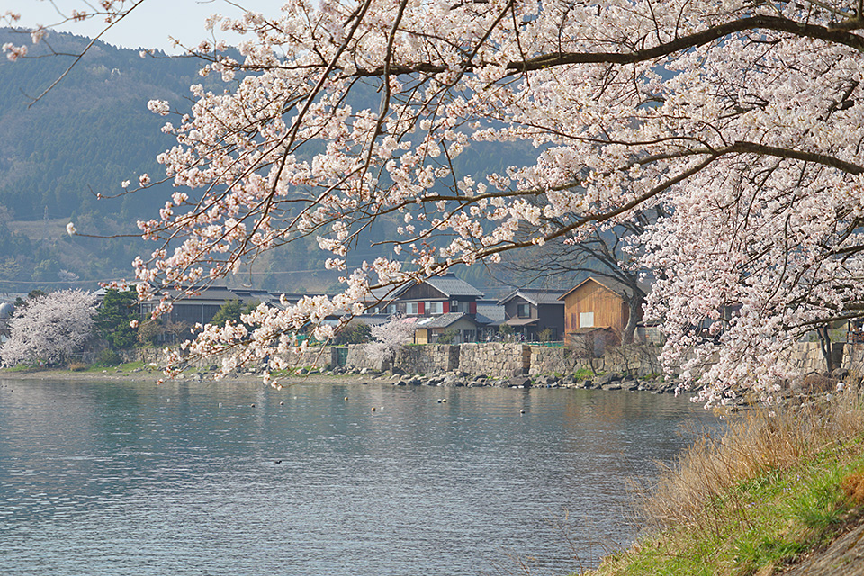 滋賀県 長浜市／高島市：滋賀県長浜市長 藤井勇治氏、滋賀県高島市長 福井正明氏、東京カメラ部10選 別所隆弘氏、東京カメラ部運営「写真で残していく『文化』、写真でつくっていく『まち』」｜東京カメラ部2019写真展