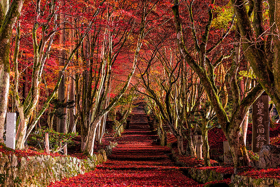 滋賀県 長浜市／高島市：滋賀県長浜市長 藤井勇治氏、滋賀県高島市長 福井正明氏、東京カメラ部10選 別所隆弘氏、東京カメラ部運営「写真で残していく『文化』、写真でつくっていく『まち』」｜東京カメラ部2019写真展