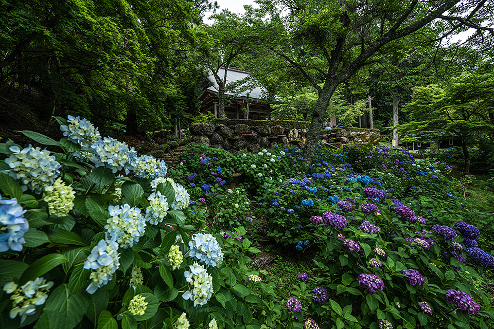 滋賀県 長浜市／高島市：滋賀県長浜市長 藤井勇治氏、滋賀県高島市長 福井正明氏、東京カメラ部10選 別所隆弘氏、東京カメラ部運営「写真で残していく『文化』、写真でつくっていく『まち』」｜東京カメラ部2019写真展