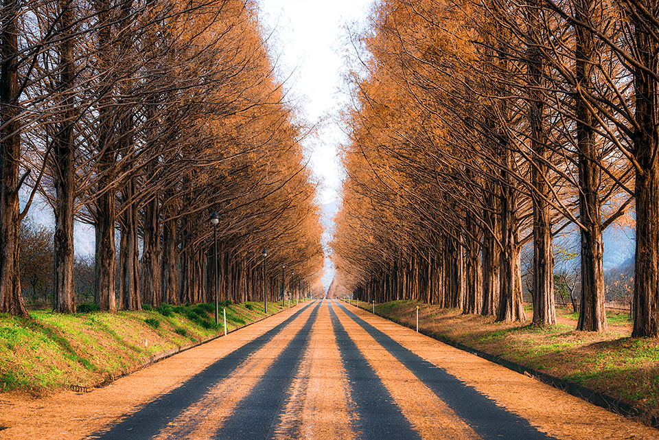 滋賀県 長浜市／高島市：滋賀県長浜市長 藤井勇治氏、滋賀県高島市長 福井正明氏、東京カメラ部10選 別所隆弘氏、東京カメラ部運営「写真で残していく『文化』、写真でつくっていく『まち』」｜東京カメラ部2019写真展