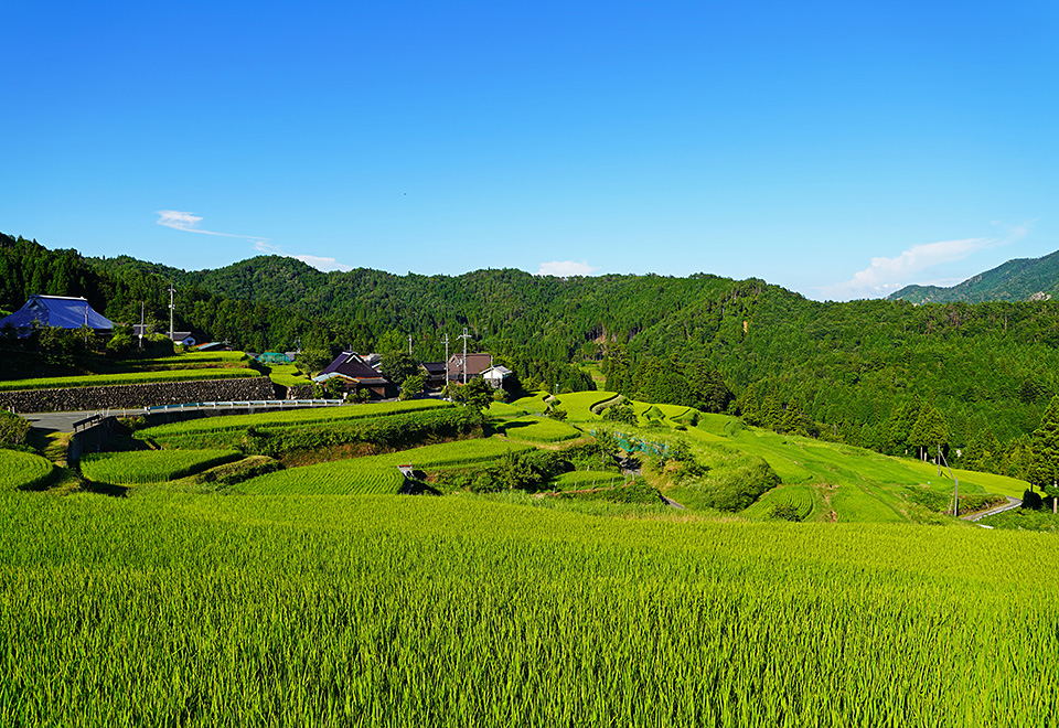 滋賀県 長浜市／高島市：滋賀県長浜市長 藤井勇治氏、滋賀県高島市長 福井正明氏、東京カメラ部10選 別所隆弘氏、東京カメラ部運営「写真で残していく『文化』、写真でつくっていく『まち』」｜東京カメラ部2019写真展