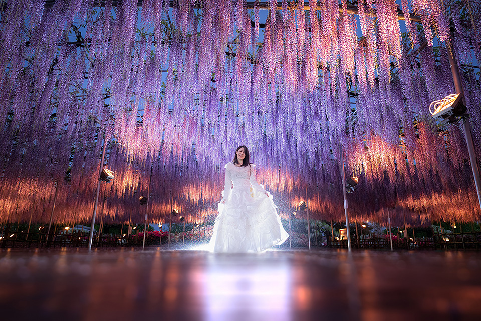 栃木県 足利市：足利市長 和泉聡、東京カメラ部10選 浅岡省一、東京カメラ部運営「被写体としての足利市の可能性」｜東京カメラ部2019写真展