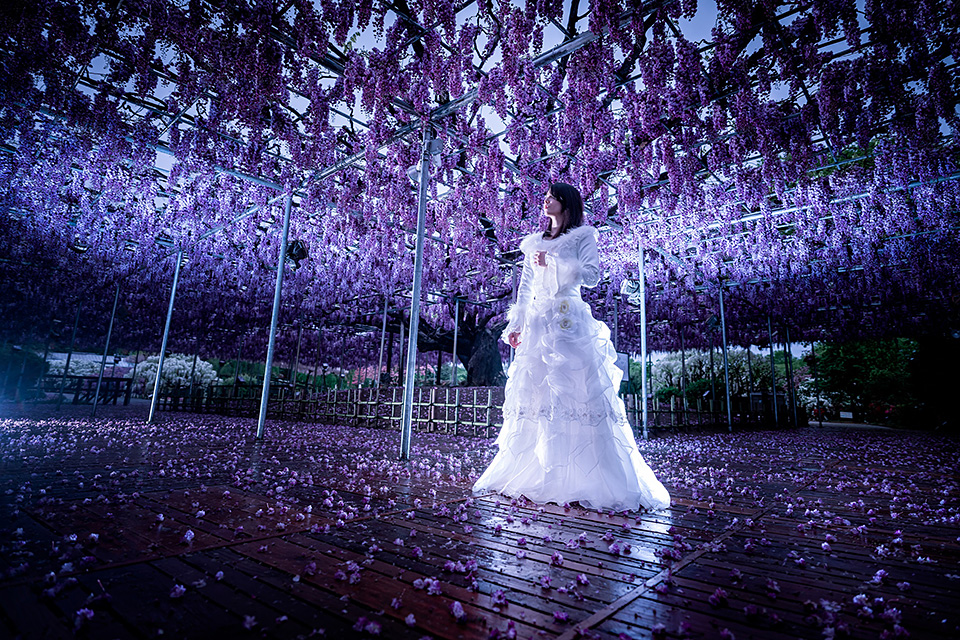 栃木県 足利市：足利市長 和泉聡、東京カメラ部10選 浅岡省一、東京カメラ部運営「被写体としての足利市の可能性」｜東京カメラ部2019写真展