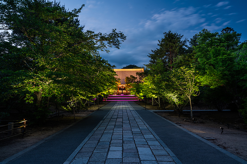 総本山仁和寺 執行長 真言宗御室派宗務総長 吉田正裕、東京カメラ部10選 柄木孝志、別所隆弘、浅岡省一、東京カメラ部運営「仁和寺×東京カメラ部　日本の文化財の美しさを後世に伝える　～青もみじライトアップ2019～」｜東京カメラ部2019写真展