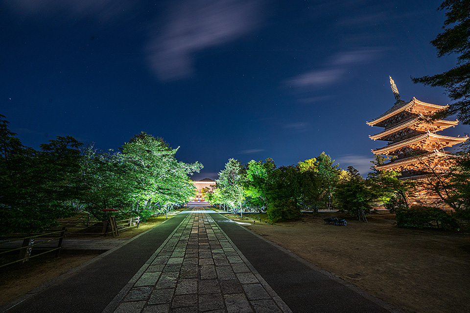 総本山仁和寺 執行長 真言宗御室派宗務総長 吉田正裕、東京カメラ部10選 柄木孝志、別所隆弘、浅岡省一、東京カメラ部運営「仁和寺×東京カメラ部　日本の文化財の美しさを後世に伝える　～青もみじライトアップ2019～」｜東京カメラ部2019写真展