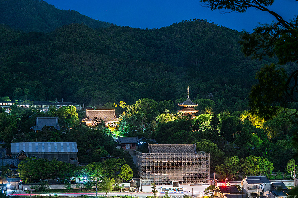 総本山仁和寺 執行長 真言宗御室派宗務総長 吉田正裕、東京カメラ部10選 柄木孝志、別所隆弘、浅岡省一、東京カメラ部運営「仁和寺×東京カメラ部　日本の文化財の美しさを後世に伝える　～青もみじライトアップ2019～」｜東京カメラ部2019写真展