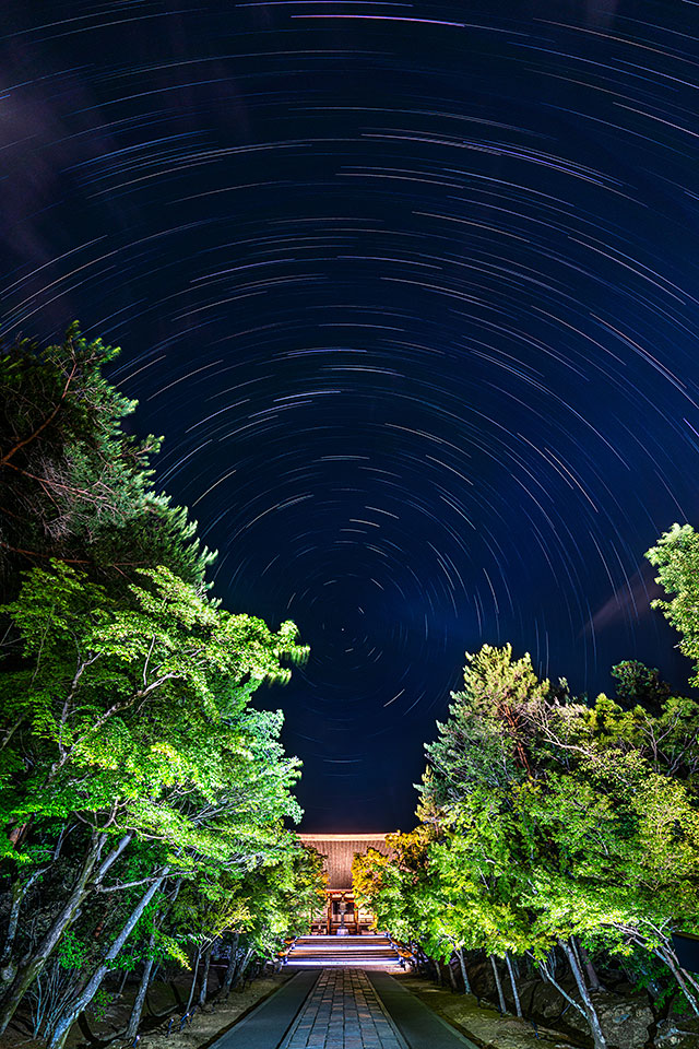 総本山仁和寺 執行長 真言宗御室派宗務総長 吉田正裕、東京カメラ部10選 柄木孝志、別所隆弘、浅岡省一、東京カメラ部運営「仁和寺×東京カメラ部　日本の文化財の美しさを後世に伝える　～青もみじライトアップ2019～」｜東京カメラ部2019写真展