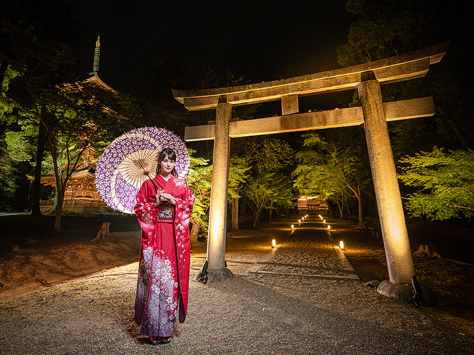 総本山仁和寺 執行長 真言宗御室派宗務総長 吉田正裕、東京カメラ部10選 柄木孝志、別所隆弘、浅岡省一、東京カメラ部運営「仁和寺×東京カメラ部　日本の文化財の美しさを後世に伝える　～青もみじライトアップ2019～」｜東京カメラ部2019写真展