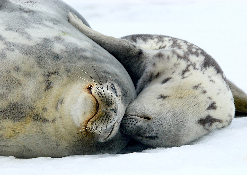 東京カメラ部10選 加藤康朝氏、香川美穂氏、Sallu氏、野上香織氏「世界は発見を待っている。」