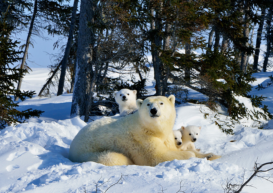 東京カメラ部10選 加藤康朝氏、香川美穂氏、Sallu氏、野上香織氏「世界は発見を待っている。」