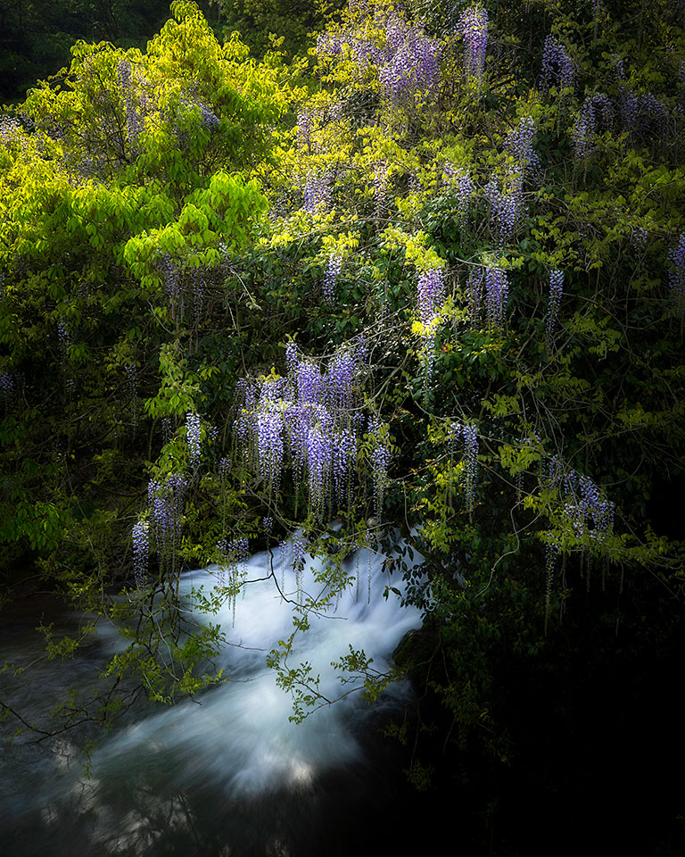 東京カメラ部10選 加藤康朝氏、香川美穂氏、Sallu氏、野上香織氏「世界は発見を待っている。」