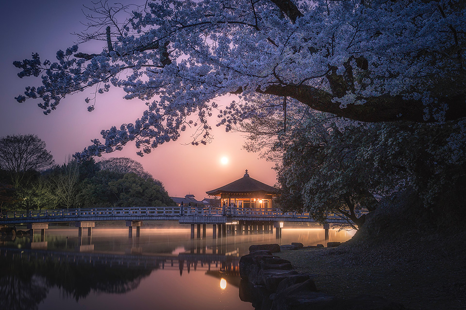東京カメラ部10選 加藤康朝氏、香川美穂氏、Sallu氏、野上香織氏「世界は発見を待っている。」