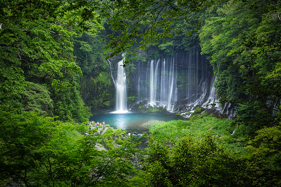 東京カメラ部10選 加藤康朝氏、香川美穂氏、Sallu氏、野上香織氏「世界は発見を待っている。」